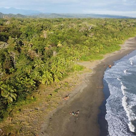 Pura Vida Vegana Otel Cahuita Dış mekan fotoğraf