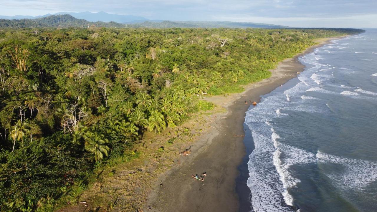 Pura Vida Vegana Otel Cahuita Dış mekan fotoğraf