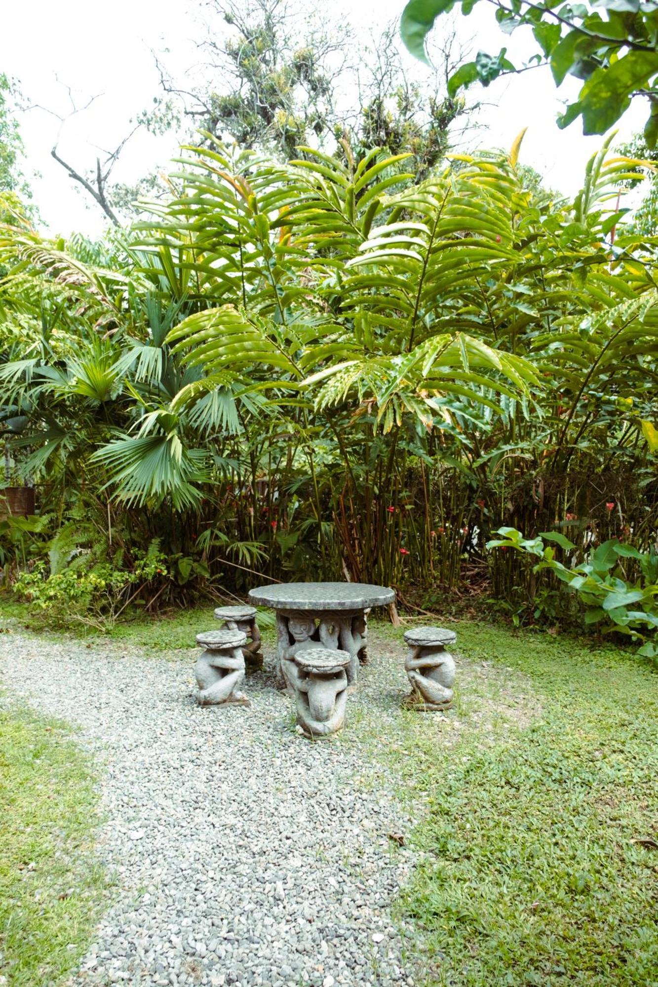 Pura Vida Vegana Otel Cahuita Dış mekan fotoğraf